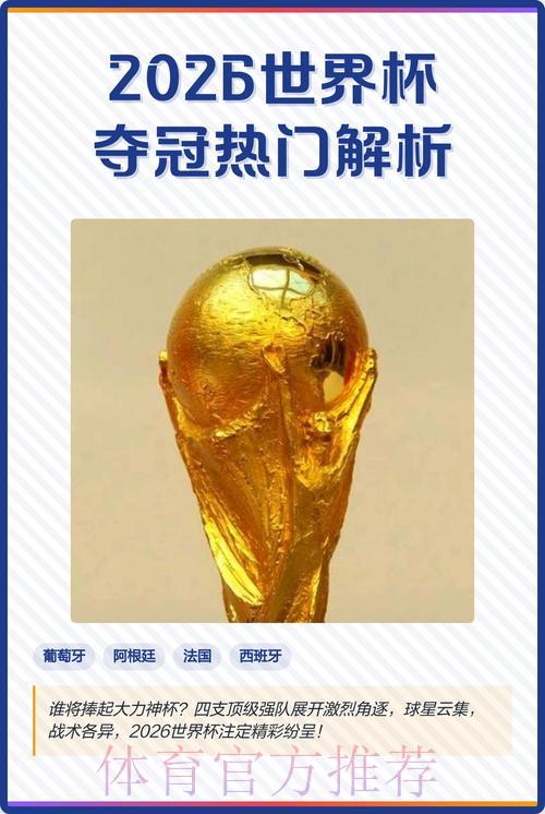 世界杯夺冠热门队伍投注策略深度解析